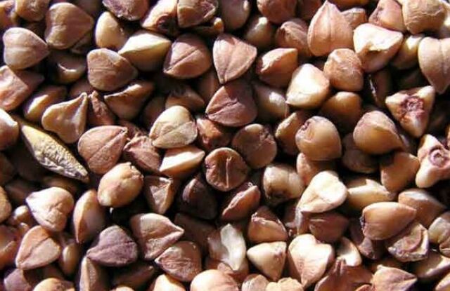 Nucleo di grano saraceno